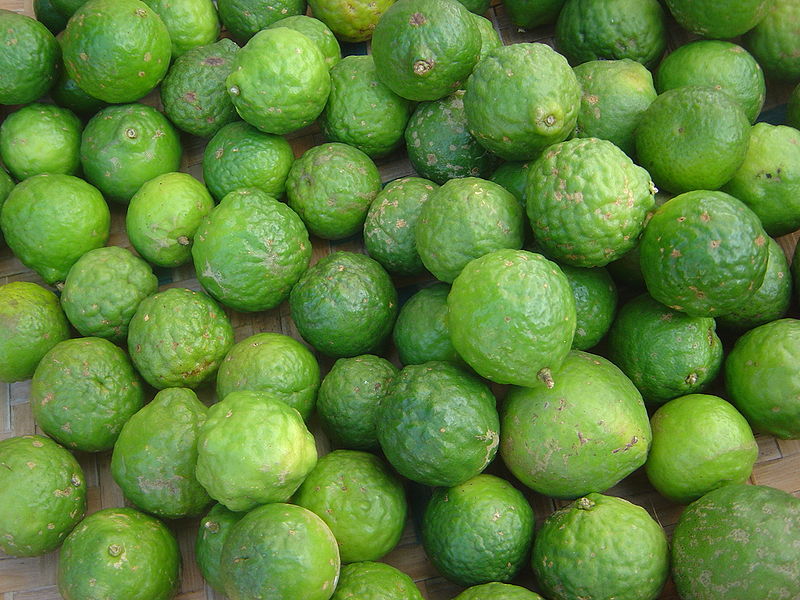 Kieffer Limes