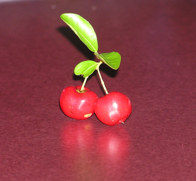 Barbados cherries Barbados cherries