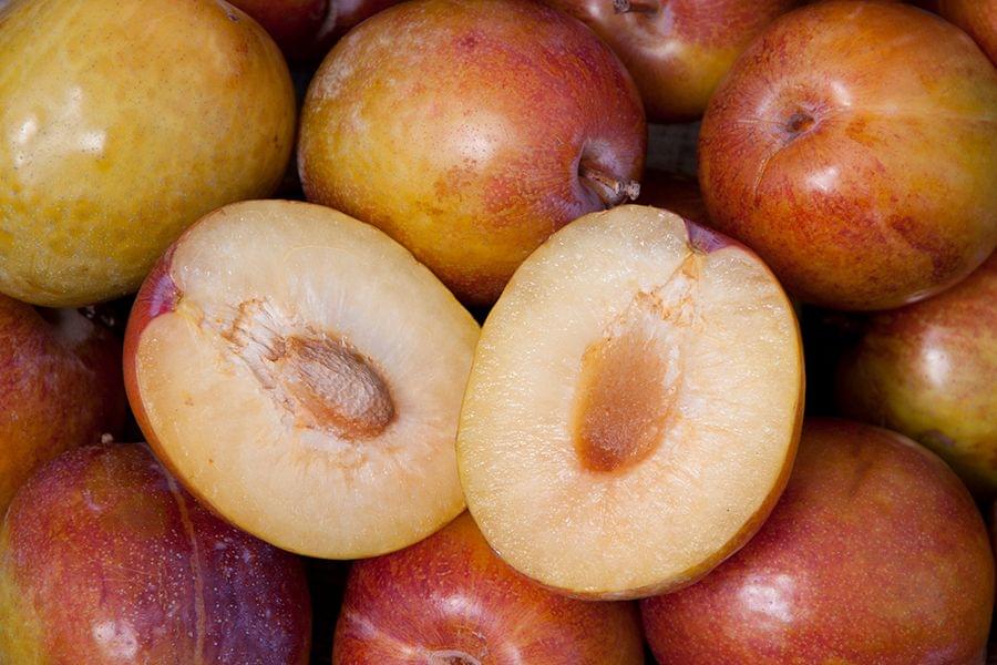 Flavor Grenade pluot Flavor Grenade pluot fruits