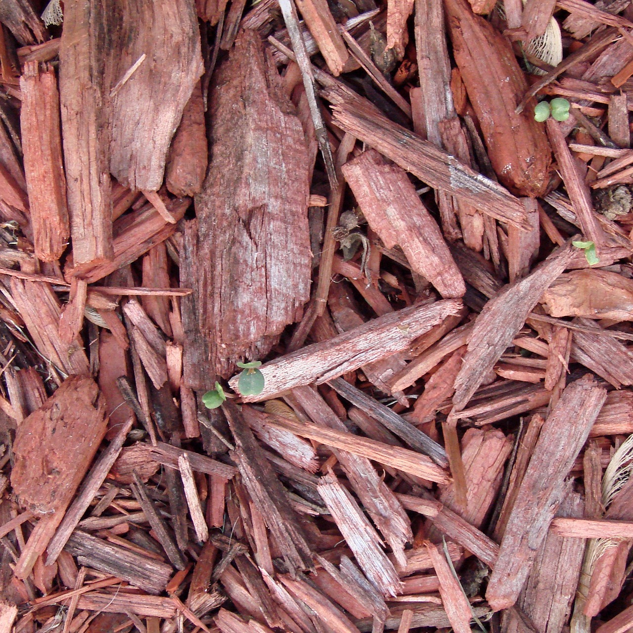 wood chips are not mulch