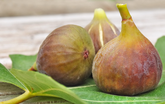FIGS:  3g or 4g