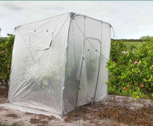 David-McKenzie-tenting