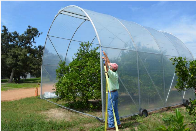 Rex-Clounts-heat-tunnel