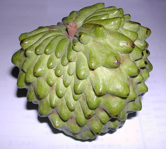 Atemoya fruit